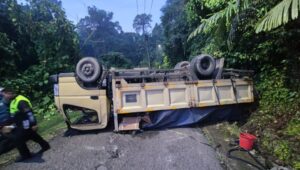Lolos dari Maut, Sopir dan Penumpang Selamat Saat Truk Terguling