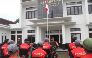 TMMD