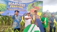 Zainul Munasichin: Dapur MBG Wajib Serap Hasil Pertanian Lokal