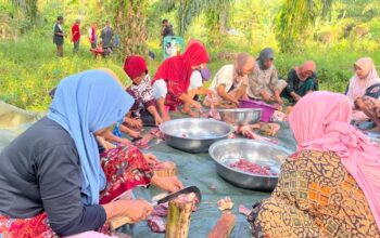 Warga pengungsian di Kecamatan Sawang, Aceh Utara, tetap merayakan tradisi Mak Megang berkat bantuan sapi dari Gerakan Anak Negeri. Tradisi makan bersama jelang Ramadan ini menjadi simbol kebersamaan dan harapan di tengah kondisi sulit.