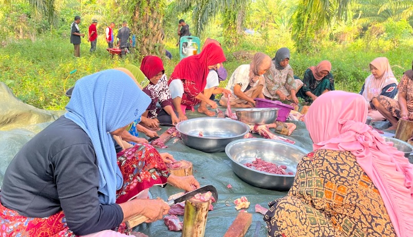 Warga pengungsian di Kecamatan Sawang, Aceh Utara, tetap merayakan tradisi Mak Megang berkat bantuan sapi dari Gerakan Anak Negeri. Tradisi makan bersama jelang Ramadan ini menjadi simbol kebersamaan dan harapan di tengah kondisi sulit.