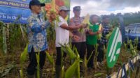 Program MBG Wajib Jadi Pasar Utama Petani Sukabumi