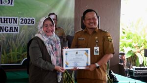 Sukabumi Jadi Pionir: Varietas Padi Lokal Mendunia