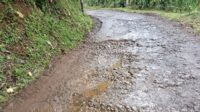Soal Akses ke Pondok Halimun Rusak, Dispar: Itu Jalan Milik PTPN