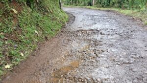 Soal Akses ke Pondok Halimun Rusak, Dispar: Itu Jalan Milik PTPN