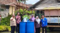 Solusi Lahan Sempit: Vertiqua Karya Dosen UMMI Ubah Teras Rumah Jadi Sumber Pangan dan Cuan