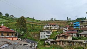 Info Mudik 2026: Jalur Puncak II Belum Layak, Pemudik Disarankan Lewat Jonggol