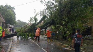 Angin Kencang Terjang Sukabumi, 15 Titik Terdampak