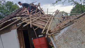 Sukabumi Dilanda Cuaca Ekstrem, BPBD Catat Pohon Tumbang dan Rumah Ambruk