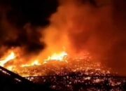 Api Lahap 1.000 Rumah di Sabah, WNI Ikut Terdampak