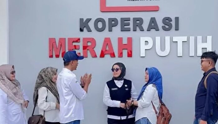 Gerai KDKMP Diklaim Bakal Jadi Pusat Ekonomi Baru Perdesaan, Mungkinkah?