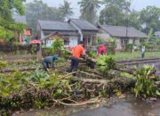 Pohon Tumbang di Jalur KA Siliwangi, Perjalanan Terhambat