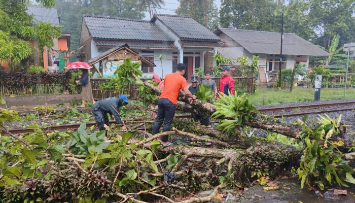 Pohon Tumbang di Jalur KA Siliwangi, Perjalanan Terhambat