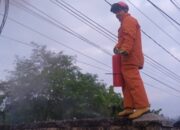 Warga Cikembar Dikejutkan Kebakaran Gardu Listrik