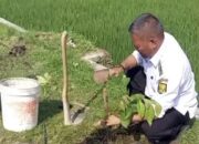 Aksi Penghijauan di Cisolok Jadi Pemicu Kesadaran Warga