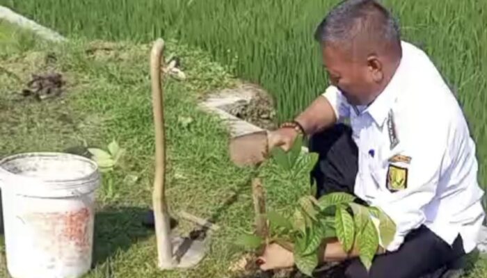 Aksi Penghijauan di Cisolok Jadi Pemicu Kesadaran Warga