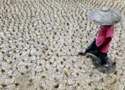 BMKG Pastikan 2026 Aman dari El Nino Godzilla, Ini Penyebabnya