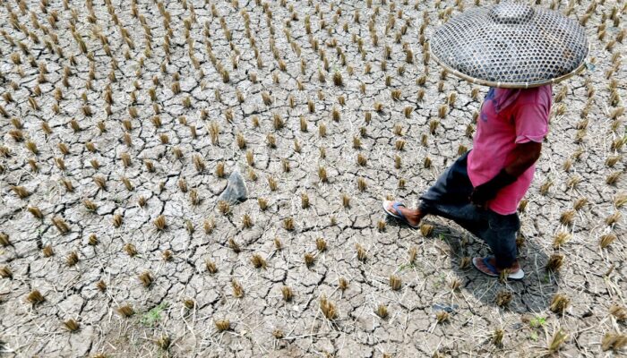 BMKG Pastikan 2026 Aman dari El Nino Godzilla, Ini Penyebabnya