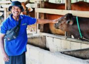 Dedi Mulyadi Dorong Warga Jabar Beralih ke Energi Swadaya