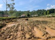Banjir Bandang Rusak 4,38 Hektare Sawah di Kabandungan Sukabumi