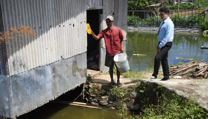 Dari Kolam ke Pasar: Kisah Sukses Budidaya Ikan di Sukabumi Setelah Bermitra dengan BRI