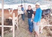 Jelang Idul Adha, DKP3 Pastikan Hewan Kurban Sehat