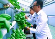 Lapas Sukabumi Sulap Lahan Sempit Jadi Ladang Harapan