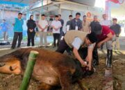 Idul Adha 1447 H, Heri Gunawan Sebar Hewan Kurban ke Berbagai Wilayah Sukabumi