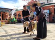 Fashion Show Domba Kurban, Tradisi Kreatif Ponpes Dzikir Al Fath