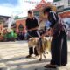 Salah satu peserta Fashion Show Domba Kurban di Ponpes Dzikir Al Fath Sukabumi tampil dengan kostum unik hasil kreasi santri.