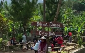 Curug Bedul
