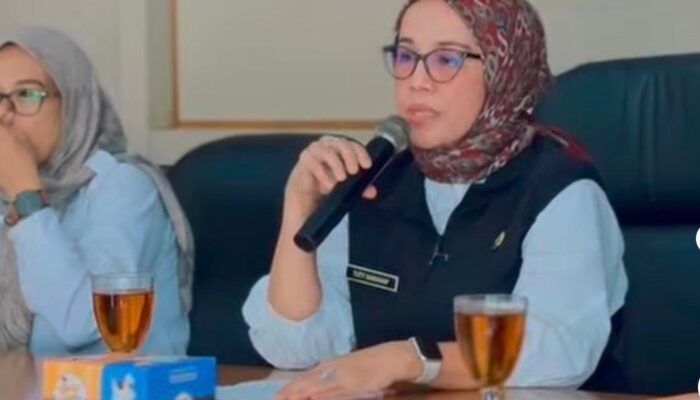UMKM Kabupaten Sukabumi Dibekali Tata Kelola Keuangan Modern