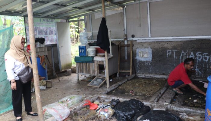 RW 1 Warudoyong Kota Sukabumi Sukses Bangun Kampung Maggot