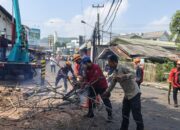 BPBD Kabupaten Sukabumi Tebang Pohon Mahoni Tua di Jalur Nasional