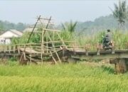 Delapan Tahun Rusak, Jembatan Caringin Tak Kunjung Diperbaiki