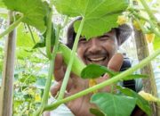 Petani Muda Sukabumi Jadi Finalis Young Ambassador Agriculture 2026
