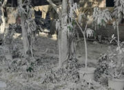 Penampakan Puluhan Rumah di Bogor Terdampak “Hujan Abu” Semen