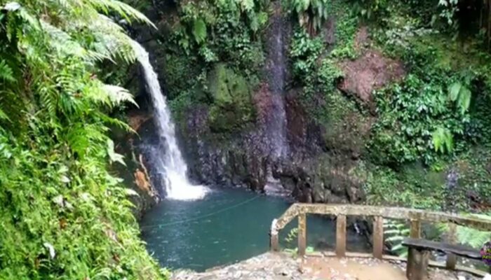 Misteri Curug Gua Lumut Bogor, Air Terjun yang Diselimuti Cerita Musik Sunda Gaib