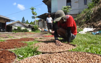 Jejak Rempah Sukabumi, Menyemai Pertumbuhan dengan Hati
