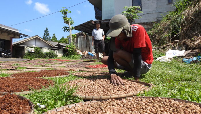 Jejak Rempah Sukabumi, Menyemai Pertumbuhan dengan Hati