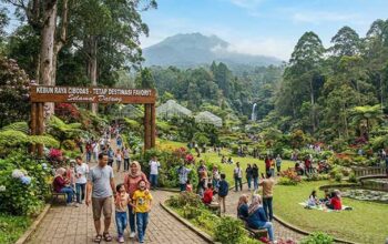 Kebun raya Cibodas