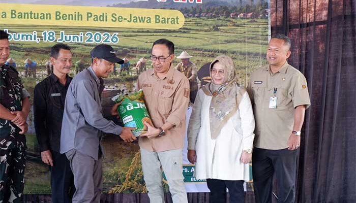 Antisipasi El Nino, Dinas Pertanian Sukabumi Kejar Target PAT Padi 11.140 Hektar