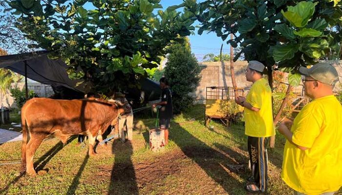 STIKes Sukabumi Tebar Kepedulian, Bagikan Daging Kurban untuk Warga Sekitar Kampus