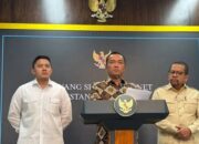 Alasan Presiden Prabowo Copot Kepala BGN, Nanik Jadi Pengganti