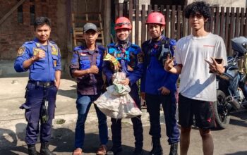 Monyet Gunung Gede Satroni Dapur Warga Kebonpedes