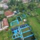 30 Kolam Lele, Sumber Harapan Desa yang Berawal dari Hoby