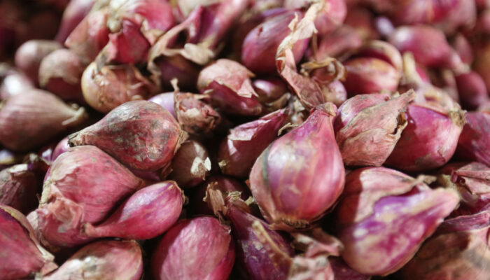 3 Herbal yang Berpotensi Bantu Kendalikan Diabetes
