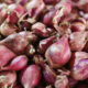 3 Herbal yang Berpotensi Bantu Kendalikan Diabetes
