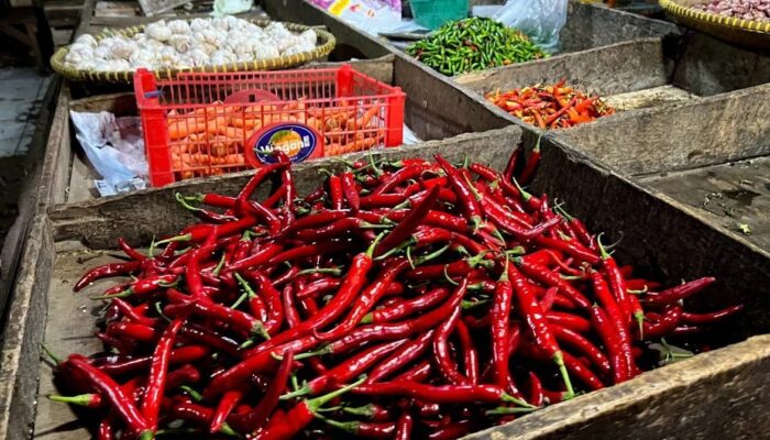 Harga Cabai Rawit Merah Tembus Rp70 Ribu per Kg