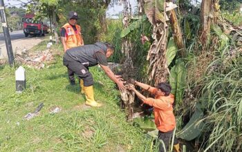 Cegah Banjir Limpasan, BPBD Kota Sukabumi Sapu Bersihkan Sampah